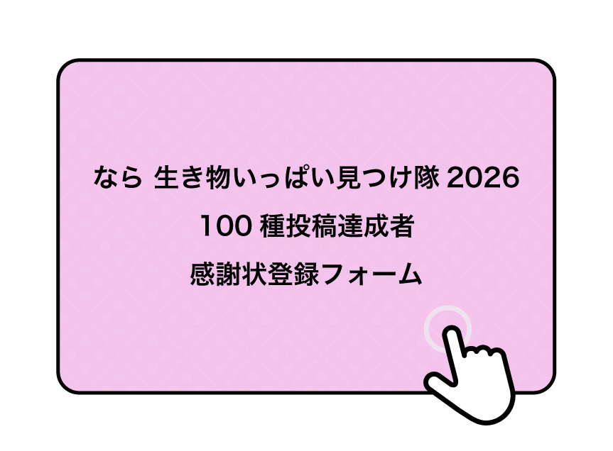 感謝状登録フォーム