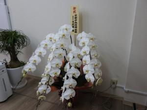 京都市ベンチャー企業目利き委員会よりAランクに認定されました