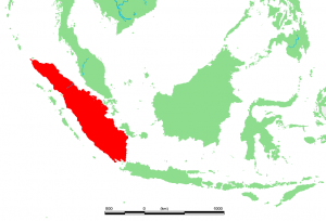 【スマトラ島】インドネシアの秘境！オススメ観光地、料理、貴重な生物をピックアップ！