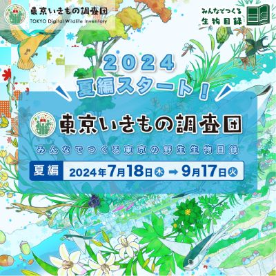 東京いきもの調査団2024夏編