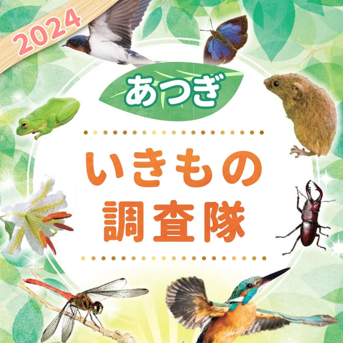 あつぎいきもの大調査2024