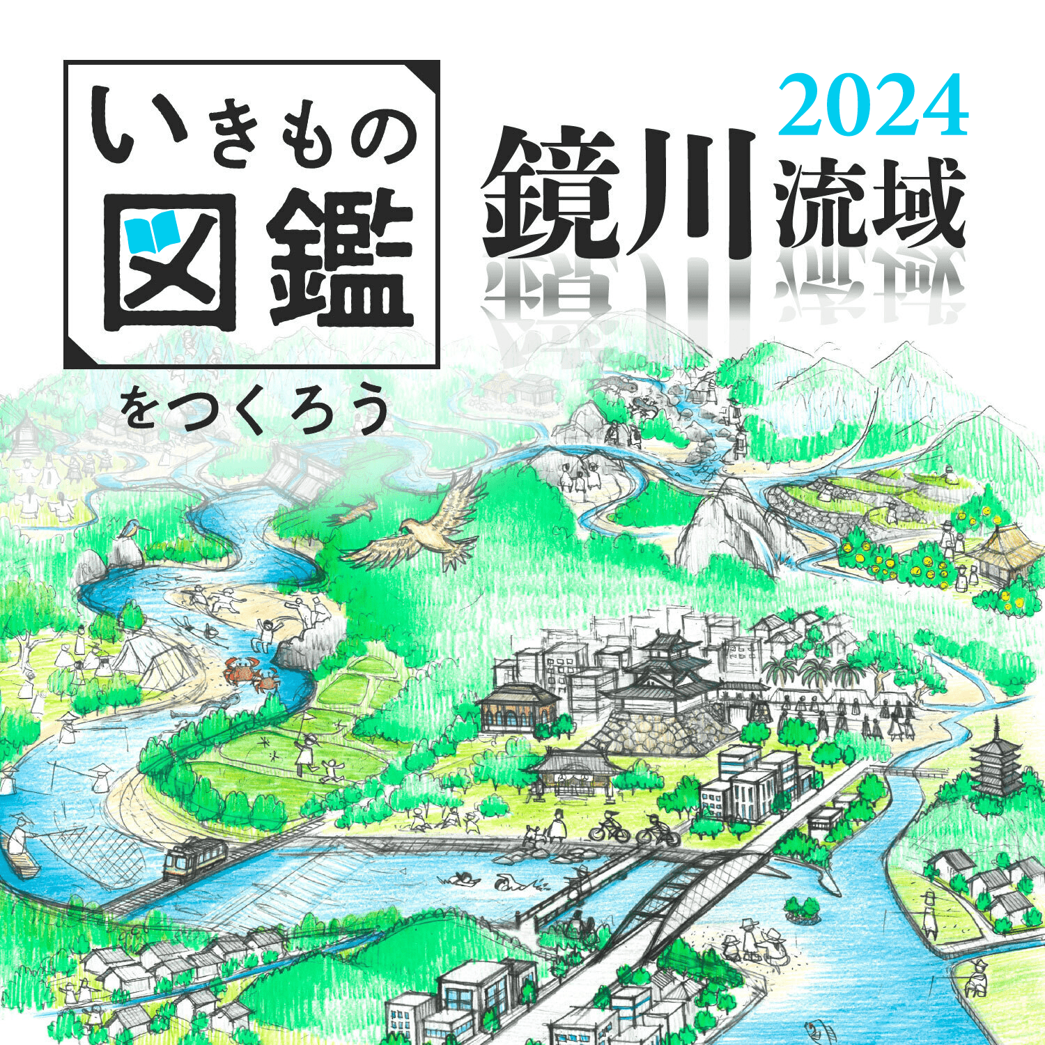 鏡川流域いきもの図鑑をつくろう2024