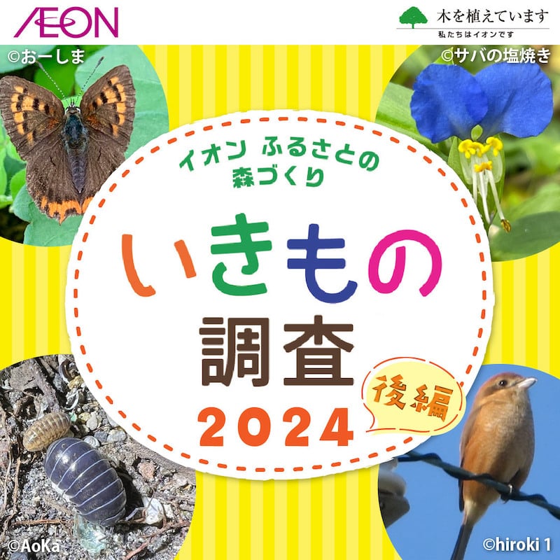 イオンふるさとの森づくり いきもの調査2024（後編）