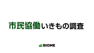 市民協働いきもの調査