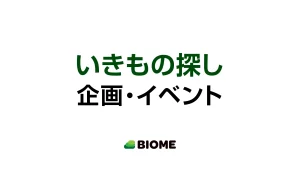 いきもの探し企画・イベント