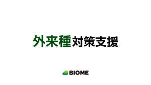 外来種対策支援