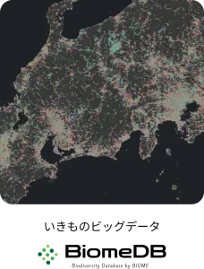 BiomeDBの実際の画面画像とロゴ画像
