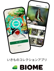 いきものコレクションアプリ「Biome」で名前判定している様子とアプリを初めて起動した時の様子の画像とロゴ画像