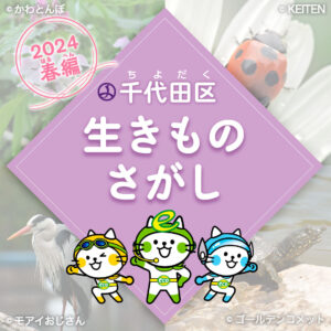 千代田区生きもの探し2024春編のアイキャッチ画像